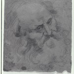 Uno dei disegni del Fondo Peterzano, conservati a Castello Sforzesco 2