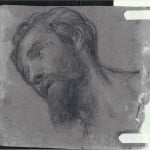 Uno dei disegni del Fondo Peterzano, conservati a Castello Sforzesco