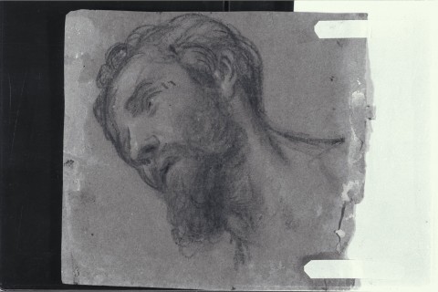Uno dei disegni del Fondo Peterzano conservati a Castello Sforzesco 8 Maurizio Calvesi, i dilettanti e Caravaggio