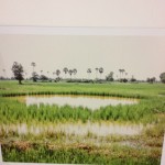 Vandy Rattana