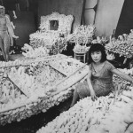 Yayoi Kusama 1964
