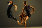 Batsheva Dance Company