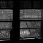 Christine Meisner - Disquieting Nature
