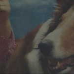 Elad Lassry - Lassie