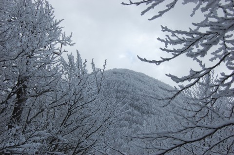 neve FARM, ruralità e new media. Un norvegese, un coreano, un neozelandese e un italiano, persi tra i monti di Avellino. Workshop, talk e residenze nel Partenio, a cura di Interferenze