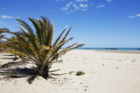 san benedetto Metti una domenica d'estate A San Benedetto del Tronto. Sole, mare, relax e arte contemporanea. Torna la rassegna Marche Centro d’Arte, con tanto di videoscreening in appendice