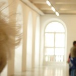 Ryan Gander – I Need Some Meaning… (the Invisible Pull) – 2012 – dOCUMENTA (13), Kassel