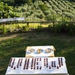 Design With a View - installazione del workshop Phisical Pixels