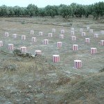 Daniel Buren - Costruire sulle vestigia: impermanenze. Opere in situ - Parco Archeologico di Scolacium, Roccelletta di Borgia 2012