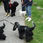 dOCUMENTA (13) – Visitatori verso Dog Run di Brian Jungen – Karlsaue