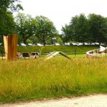 dOCUMENTA (13) – Vista su Dog Run (Installazioni per cani) di Brian Jungen – Karlsaue