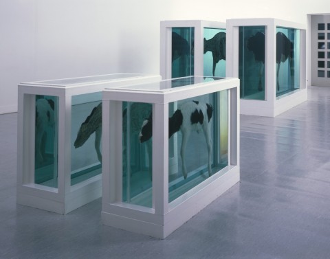 3 damien hirst mother and child divided L'Apocalisse? Era ieri