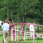 dOCUMENTA (13) – Brian Jungen – Dog Run – Katlsaue