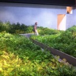 Biennale Architettura - Padiglione Italia 1