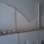 Biennale di Architettura 2012 - Padiglione Albania 3