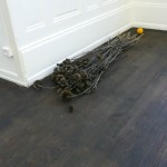 Dried sunflowers included in exhibition