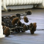 Dried sunflowers included in exhibition - det.