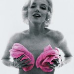 Bert Stern - The last sitting