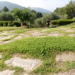 La Marrana - Joseph Kosuth - foto Nuvola Ravera e Davide Pambianchi