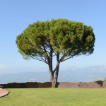 La Marrrana - Kengiro Azuma - foto Nuvola Ravera e Davide Pambianchi