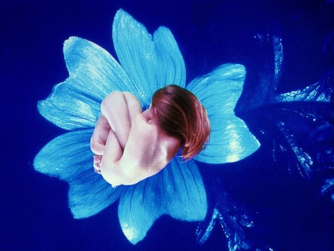 Pipilotti Rist Homo Sapiens Sapiens Tra Arte e Esperienza, Capitolo V – "Globalizzazione, Multiculturalismo, Glocalismo"