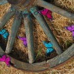 Workshop alla Cascina Granbego 2