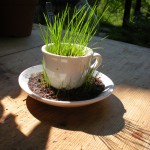 Workshop alla Cascina Granbego 4
