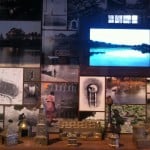 Wunderkammer, dettaglio 2