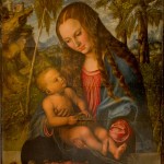 Lucas Cranach il Vecchio, Madonna del Pino,1505, olio su tela - Cattedrale di S. Giovanni Battista (Breslavia)
