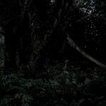 Alessandro Imbriaco - The garden