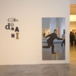 Cara Domani. Opere dalla collezione Ernesto esposito, MAMbo, Bologna 13
