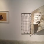 Cara Domani. Opere dalla collezione Ernesto esposito, MAMbo, Bologna 4