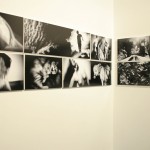 Fotografia Festival, Roma 5