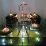 Traces of centuries & future steps - veduta della mostra presso Palazzo Bembo, Venezia 2012