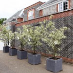 Yoko Ono - To the Light - veduta della mostra presso la Serpentine Gallery, Londra 2012 - photo Jerry Hardman-Jones