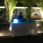 Roma Art2Nights 2012 - party al Maxxi 5