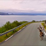Rv888 - Finnmark - Norway, 2010
