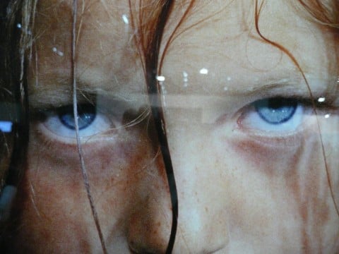 Un dettaglio di una grande foto digitale esposta allo stand di Sotheby’s Ancora novità da Viennafair 2012: i nuovi proprietari russi mettono sul tavolo un milione di euro all’anno, per un fondo acquisizioni. E comprano anche “in Italia”…