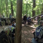 dOCUMENTA(13) - Karlsaue Park 2