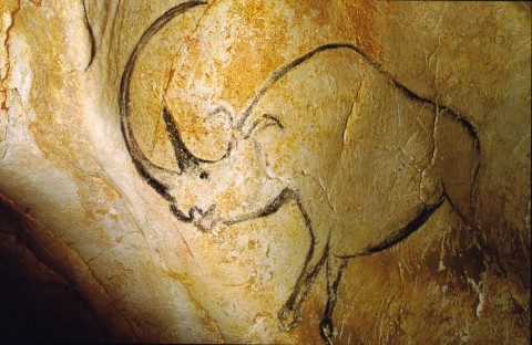 rhinocc3a9ros grotte chauvet Penone. Da Kassel a Versailles, passando per Kabul