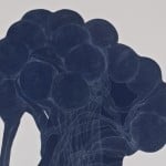Luisa Rabbia - Blooming - 2012