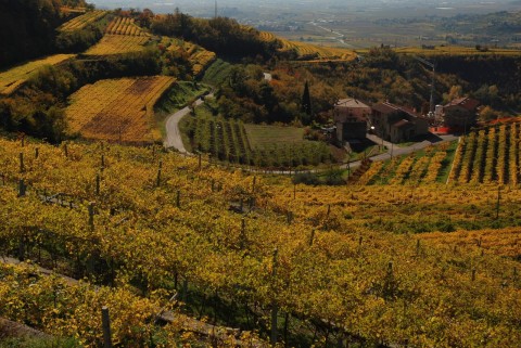 BOX 1 Valpolicella, Palladio e tu