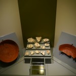 Cocci in mostra