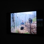 Giorni felici 2012 - Daniela Peracchi