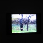 Giorni felici 2012 - Daniela Peracchi