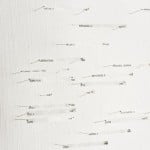 David Maljkovic - Images With Their Own Shadows - 2009