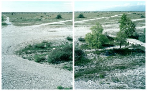 Dc NEXT Future Landscape II Magredi Citron Il paesaggio contemporaneo sulle Dolomiti