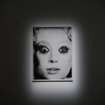 Double Eye, l'opera vincente