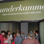 Gam - Wunderkammer