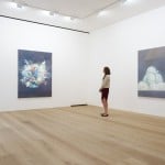 Installation view della mostra Luc Tuymans Allo! (foto Stephen White, courtesy David Zwirner, London) 5